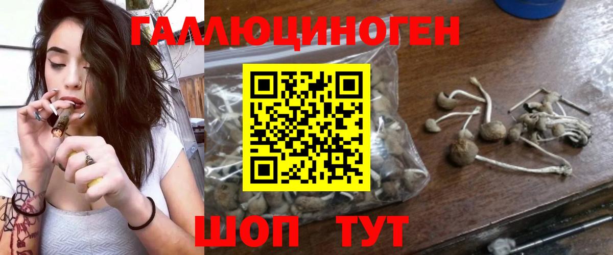 Галлюциногенные грибы MAGIC MUSHROOMS Медногорск