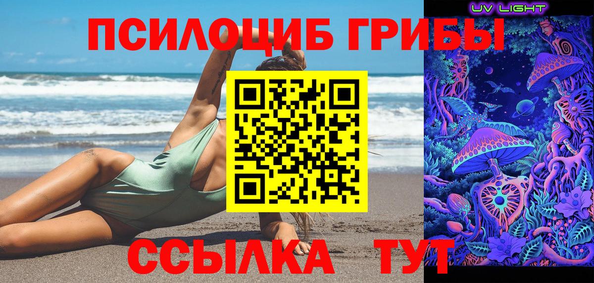 Галлюциногенные грибы прущие грибы  Вход с VPN  Медногорск 