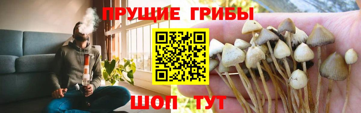 Метамфетамин  Медногорск  Гашиш  Где продают наркотики?  Вейп ТГК  Меф МЯУ МЯУ кристаллы  МЕФ  МАРИХУАНА  Амфетамин кристаллы  NBOMe  КОКАИН  Вход с VPN 